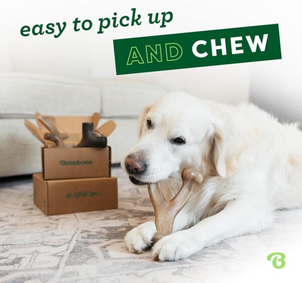 Benebone Durable Dog Chew Toy Box for Aggressive Chewers with Wishbone, Fishbone, Stick & Zaggler, Medium - Image 2
