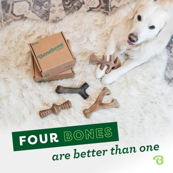 Benebone Durable Dog Chew Toy Box for Aggressive Chewers with Wishbone, Fishbone, Stick & Zaggler, Medium - Image 4