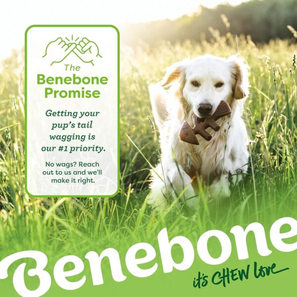 Benebone Durable Dog Chew Toy Box for Aggressive Chewers with Wishbone, Fishbone, Stick & Zaggler, Medium - Image 6