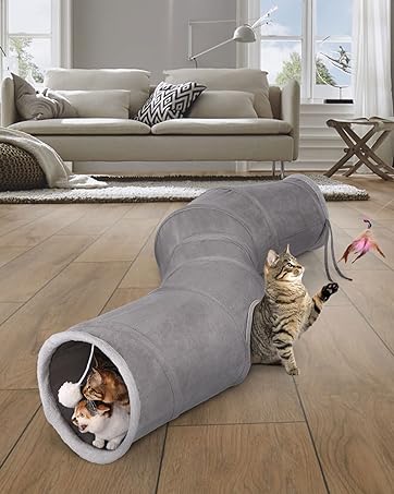 cat tunnel shape