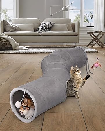 cat tunnel shape