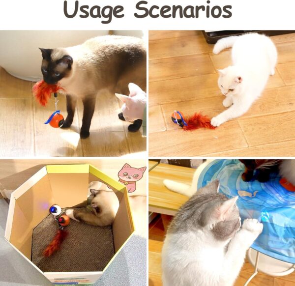 Migipaws Cat Toy, Automatic Moving Ball Bundle Classic Mice + Feather Kitten Toys in Pack. DIY N in 1 Pets Smart Electric Teaser, USB Rechargeable (Orange) - Image 4