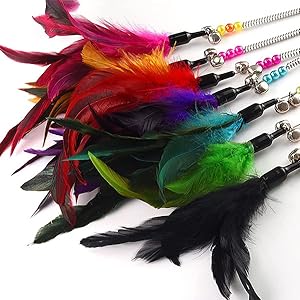 cat toy feather