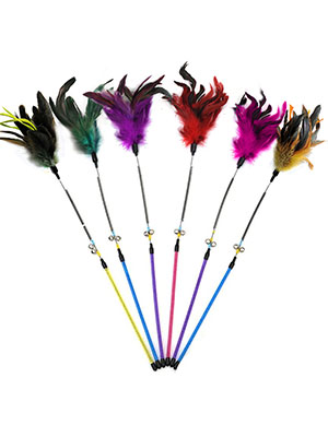 cat toy