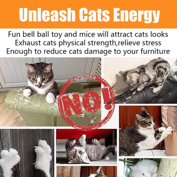 12 Pcs Cat Toys for Indoor Cats Kitten Plush Catnip Toy Cat Teeth Cleaning Toys Interactive Cat Feather Teaser Wand Spring Toy - Image 8