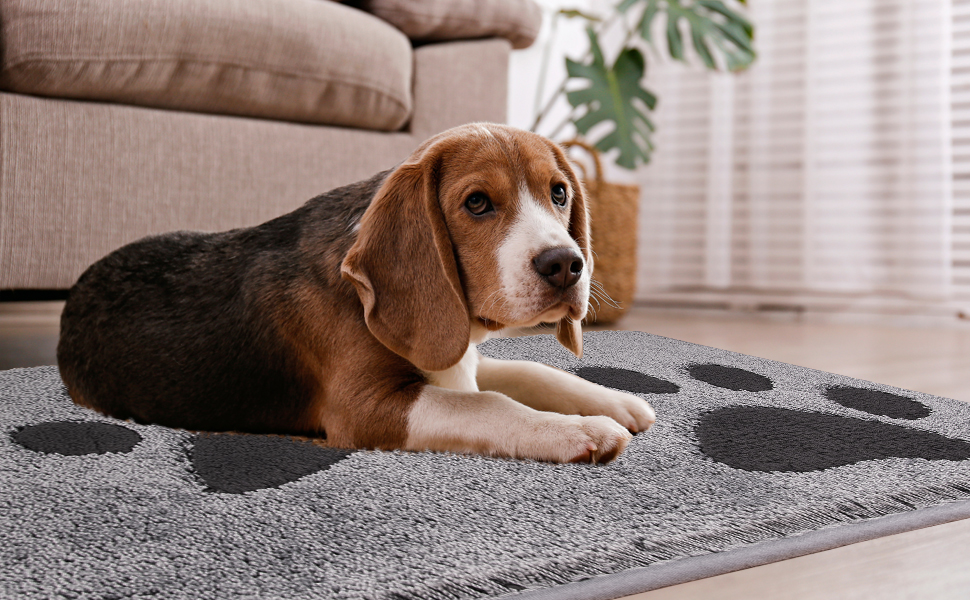 FCSDETAIL Dirt Trapper Indoor Door Mat