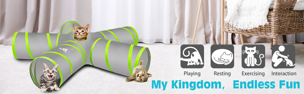 cat tunnel tube 5 way tunnels