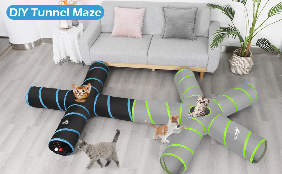 cat toys