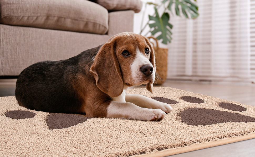FCSDETAIL Dirt Trapper Indoor Door Mat