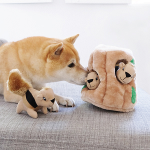 squeaking dog toys squeaky dog toy hide and seek dog toy squirrel toy dog puzzle toy hiding