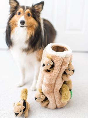 squeaking dog toys squeaky dog toy hide and seek dog toy squirrel toy dog puzzle toy hiding