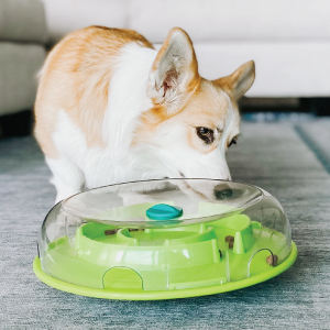 squeaking dog toys squeaky dog toy hide and seek dog toy squirrel toy dog puzzle toy hiding