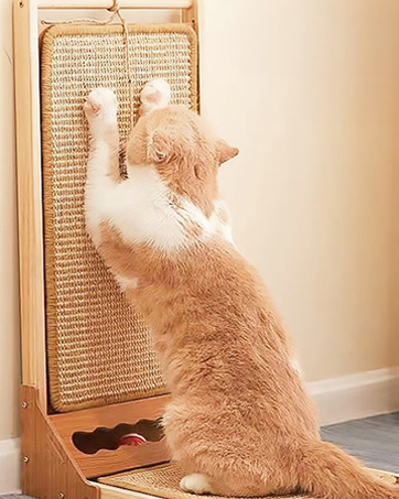 Cat Scratcher