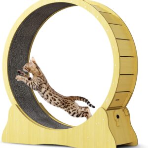 Hibtn Large Cat Exercise Wheel Diameter 43.3inch,Cat Treadmill,Cat Running Wheel For Indoor Cats With Brake,Cat Interactive Toy,Cat Weight Control Machine,With Lock And Carpeted