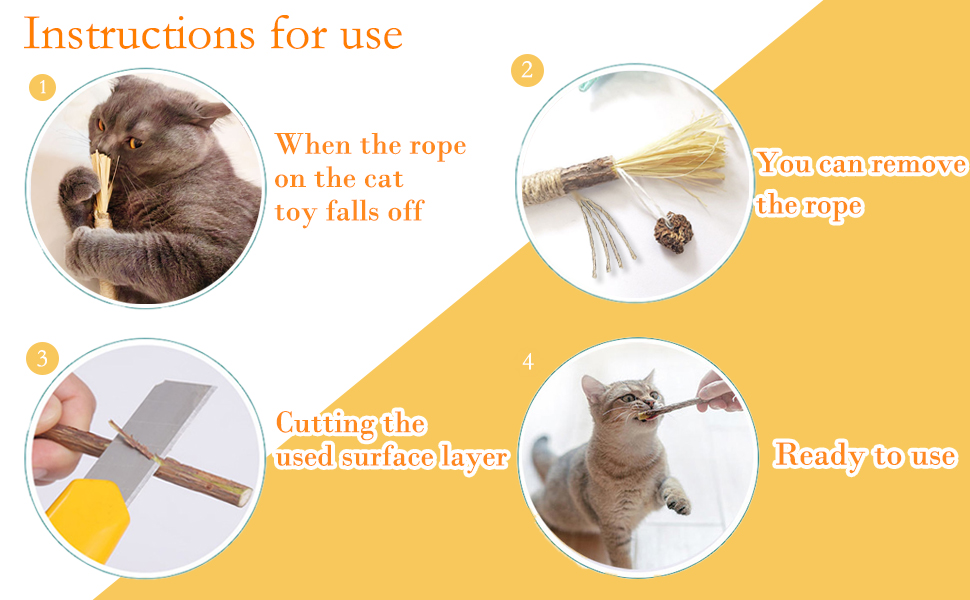 Cat Chew Toys