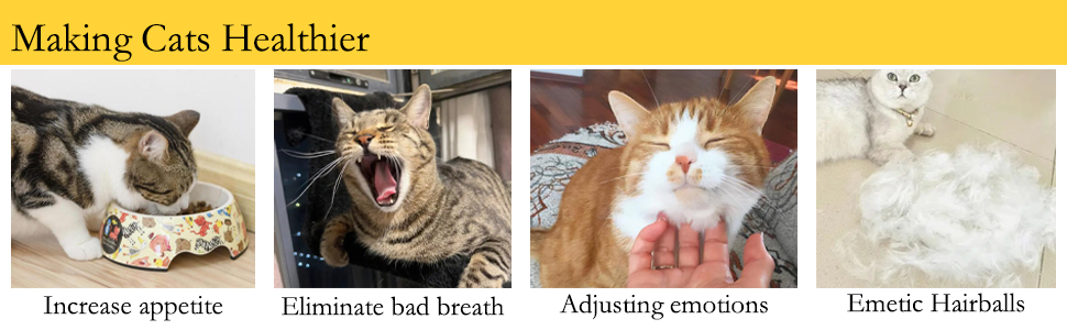 Teeth Clean Chewing Grindin for Cat