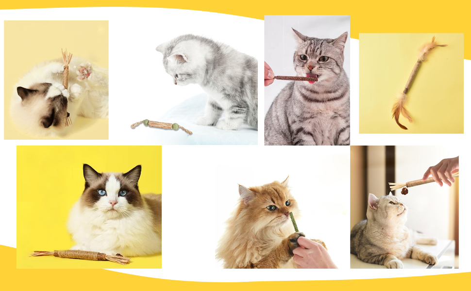 Kitten Teething Toys