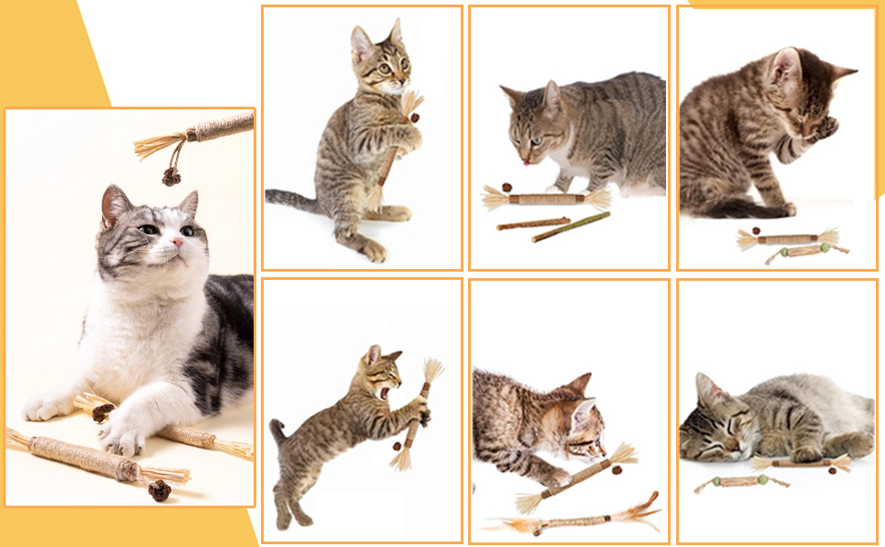 Cat Catnip Sticks