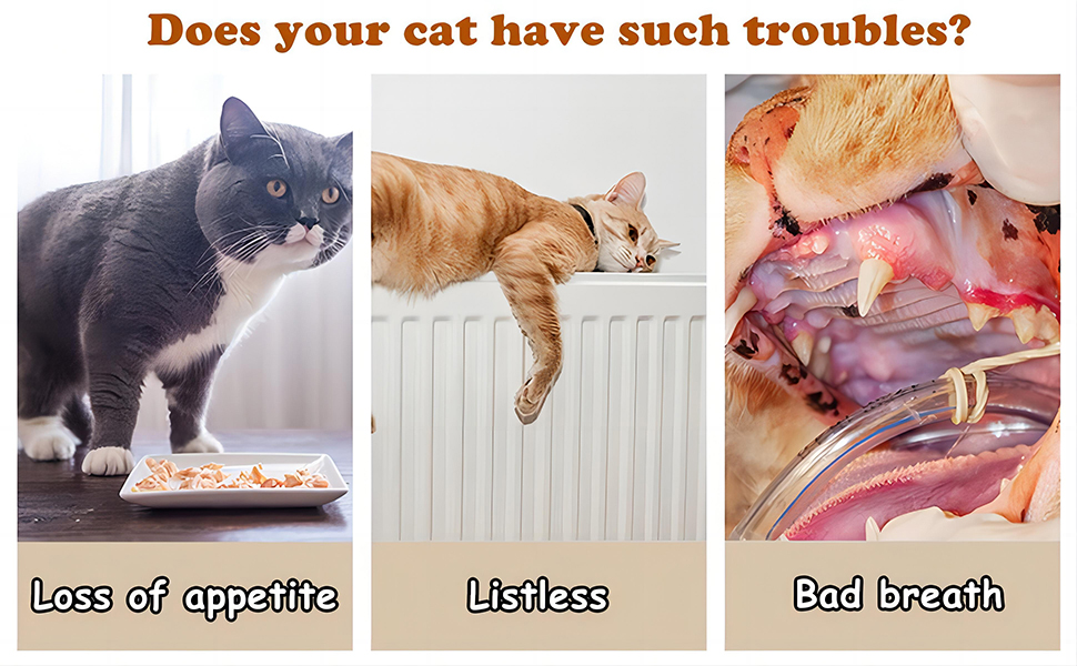 Cat Catnip Toys