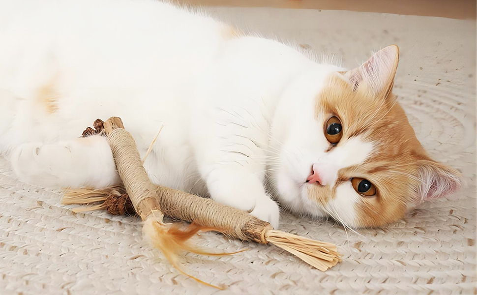Cat Catnip Toys, Cat Catnip Sticks