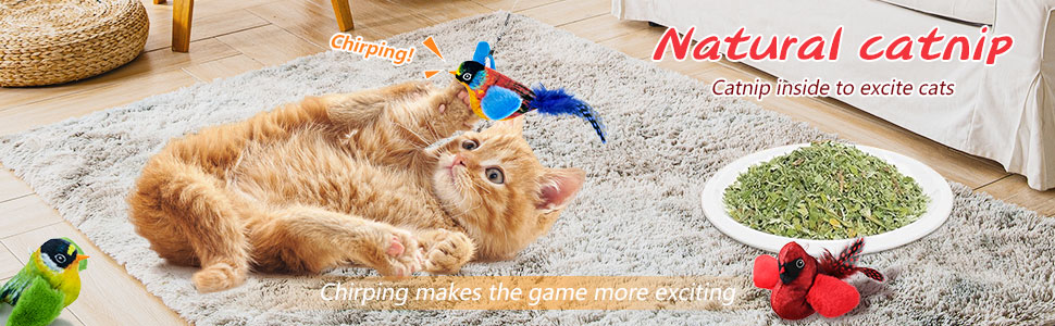 flying bird cat toy