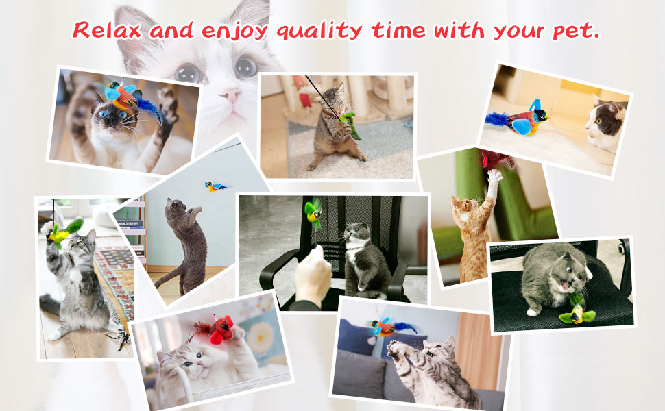 interactive cat toys for indoor cats