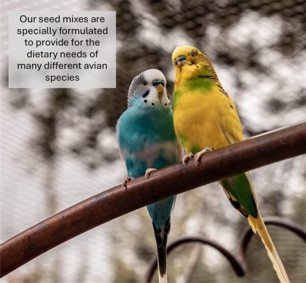 *NEW* 1.5kg PLAIN CANARY SEED MIXED CAGE BIRD FOOD XLDS - Image 2