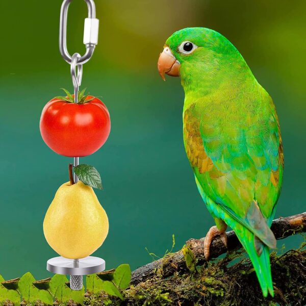 Birds Food Holder Parrots Feeder Stick Stainless Steel Fruit Vegetable Meat Hanging Skewer Cockatiel Foraging Stick 5PCS - Image 5