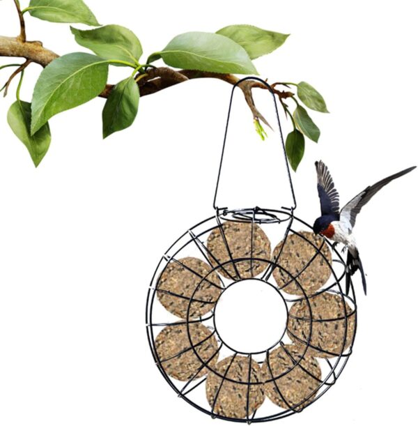 Wild Bird Feeder Bird Food Container No-Mess For Parrots Budgies Cockatiel Hanging Suet Basket Holder Feeding Tool - Image 2