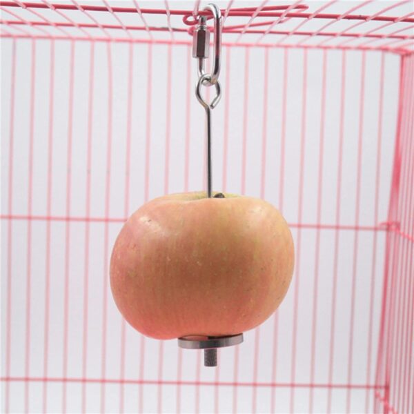 Bird Food Holder Parrot Foraging for Cage Hanging Stainless Steel Food Bowl Treat Skewer Food Basket for Conures - Image 4