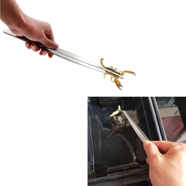 Yoogeer 3in1 Feeding Tool Reptile Feeding Tongs Cricket Clamp Bug Scooper, Cleaning Supplies Scooper+ 2X Tweezers for Reptile, Hedgehog, Hamsters, Guinea Pig,Lizard, Spider Bearded Dragon (Black) - Image 6
