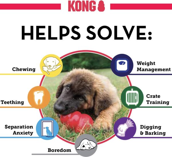 KONG - Classic Dog Toy - Durable Natural Rubber - Fun to Chew, Chase and Fetch - For Small Dogs - Image 5