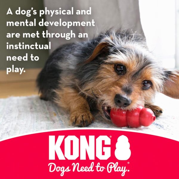 KONG Goodie Bone Dog Toy, Small, Red - Image 5