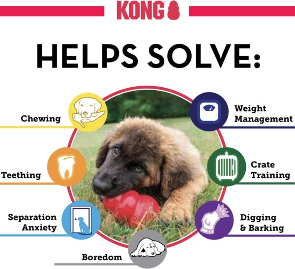 KONG - Senior Dog Toy Gentle Natural Rubber - Fun to Chew, Chase and Fetch, For Small Dogs - Image 6