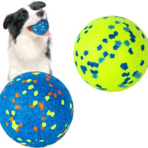 2 Pack Dog Ball Toys,Indestructible Dog Toys Balls,High Bounce Rubber Dog Balls,Durable Solid Interactive Ball,Resistant Teeth Training Dog Toys,for Small Medium Large Dog Puppy Water Jump Fetch Play