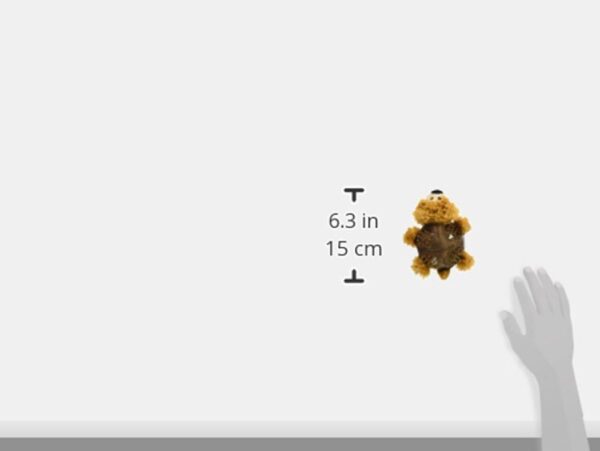 KONG Shells Bear Dog Toy, Small - Image 2