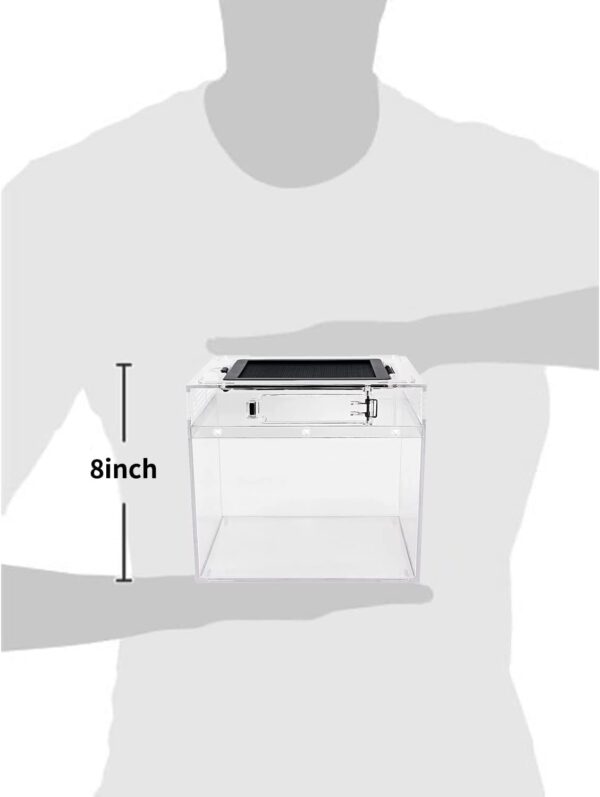 Reptile Growth Mini reptile tank（PC）,8" x 8"x 8" vivarium with Top Sliding Door Screen Ventilation for Small Fish,Insect,Snail,Gecko，Tarantula,Bearded Dragon,Jumping Spider,Stick Insect - Image 2