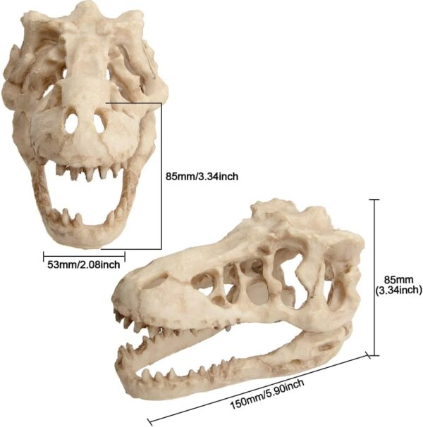 Saim Aquarium Ornaments, Large Dinosaur Skull Decorations Non-Toxic Vivarium Decoration Emulational Reptile Hide Aquarium Cave For Reptile and Fish - Image 3