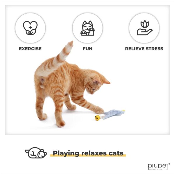 PiuPet® Cat toy with catnip I Set of 4 I Stylish Cat toys for indoor cats I Catnip toys for cats I Cat toys for indoor cats adult - Image 4