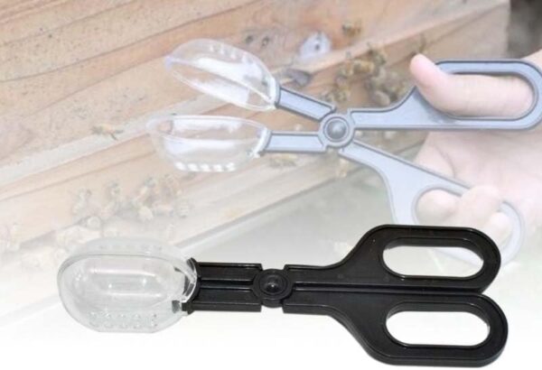 Reptile Feeding Tongs Cleaning Supplies Scooper Cricket Clamp Bug Scooper for Reptile Hedgehog Hamsters Guinea Pig Lizard Spider Bearded Dragon - Image 4
