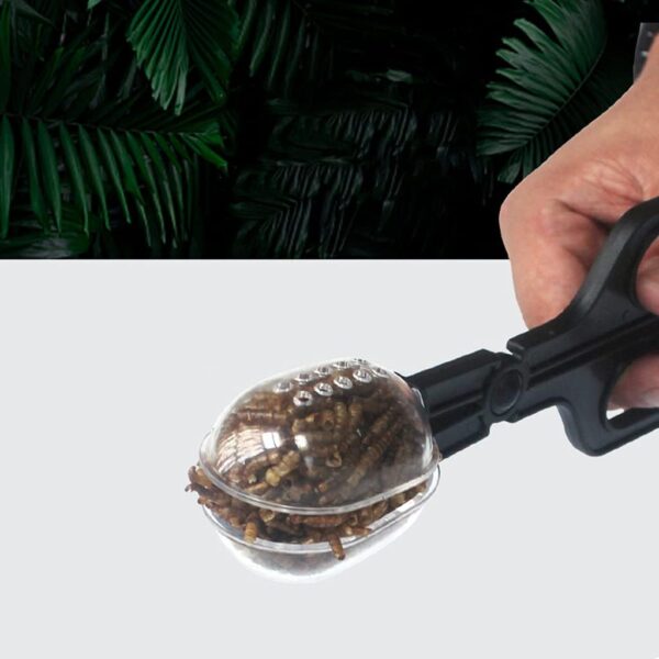 Frotox Reptile Feeding and Poop Cleaning Tools Amphibian Feeding Tongs Clip with Vents for Fish Aquariums and Various Insects - Image 2