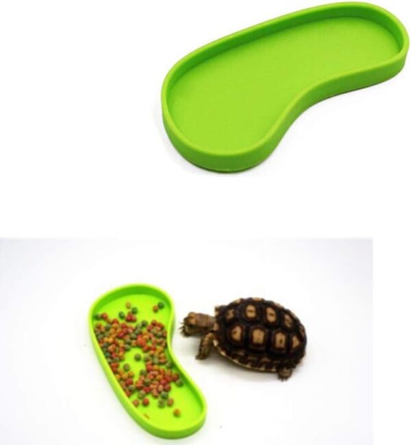 LSTCPGLAI 2 Pieces Shallow Reptile plate Reptile Food Water Bowl Used for Tortoise Corn Snake Crawl Pet Drinking and Eating(Green) - Image 5