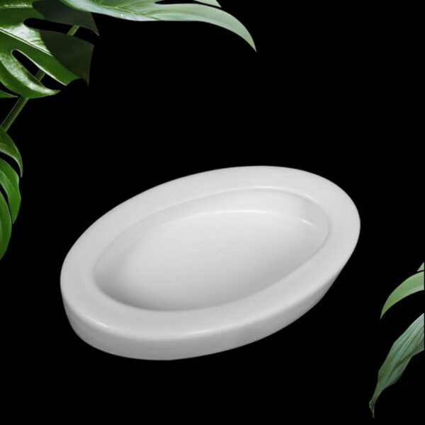X-Institute Water Food Bowl Terrarium Bowls Worm Dish Ceramic Pet Bowls Anti-Escape Feeding Dish Birds Bowl Worm Dish Escape Proof - Image 7