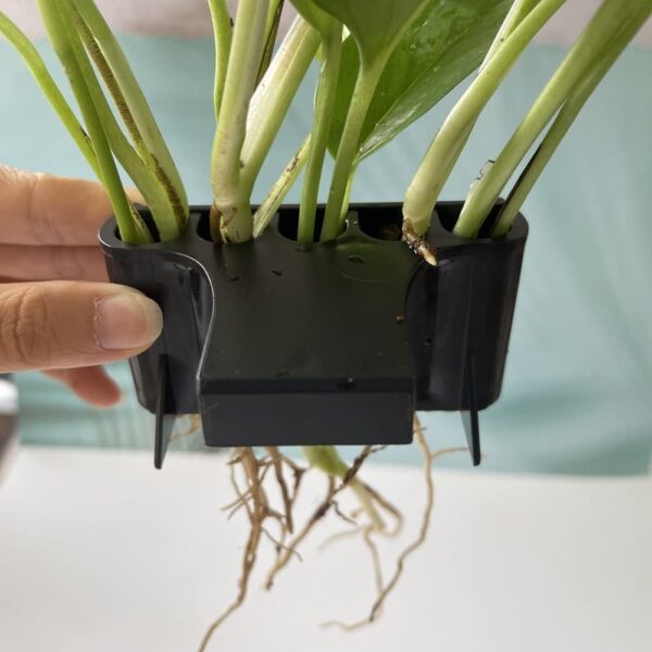 Pinafresa 2PCS Open Face Emerging Plant Holder, Aquarium Hanging Aquatic Plant Holder Fish Tank Decorations for Emersed Plants, A - Image 6