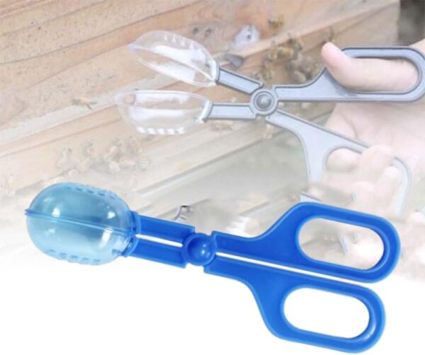 WANGSONGSONGZHY Reptile Feeding Tool Reptile Feeding Tongs Cricket Clamp Bug Scooper for Reptile Hedgehog Hamsters Guinea Pig Lizard Spider Bearded Dragon (Blue) (blue) - Image 4