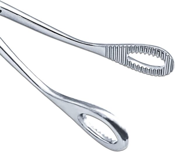 MFUOE Reptile Feeding Clip Tongs Long Handle Feeding Clip Pet Raising Feeding Tool for Snake Tortoise Lizard Frog Spider - Image 3