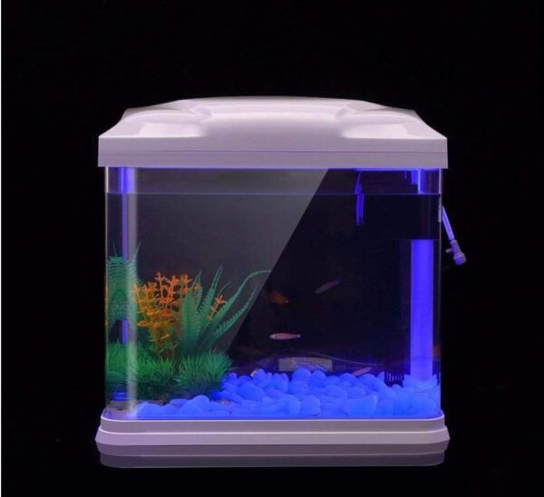 Oubest Glow Stones Blue/Glow in the Dark Pebbles/Glowing Rocks Decor for Garden/Fish Tank/Aquarium/Walkway/Driveway/Plant Pots/Bonsai 200pcs - Image 2