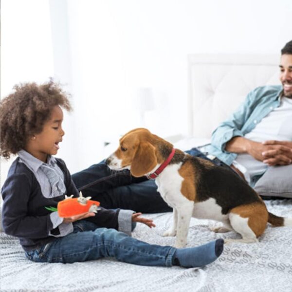 IFOYO Plush Squeak Dog Toys, Durable Interactive Hide and Seek Puzzle Dog Toys for Medium Small Dogs, Pets, Easter Dog Toy, Turnip Rabbit - Image 5
