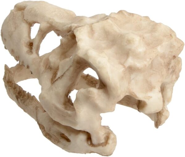 Saim Aquarium Ornaments, Large Dinosaur Skull Decorations Non-Toxic Vivarium Decoration Emulational Reptile Hide Aquarium Cave For Reptile and Fish - Image 4