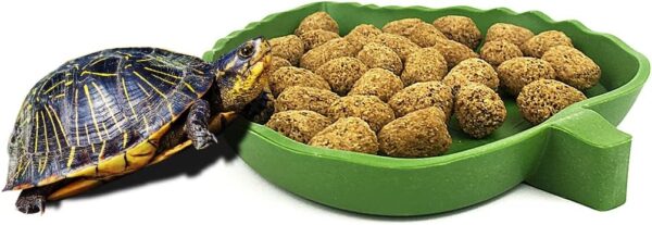 Jagowa Leaf-Shaped Reptile Food & Water Bowls - Set of 2, 2-Sizes, Plastic Feeder & Drinking Bowls for Moriya Corn Snakes & Crawling Pets in Green - Image 3